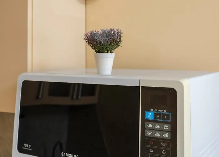 превъзходен къщата на мечтите-златни пясъци на първа линия דירה *